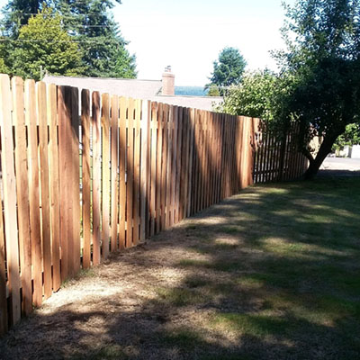 Shadow Fence